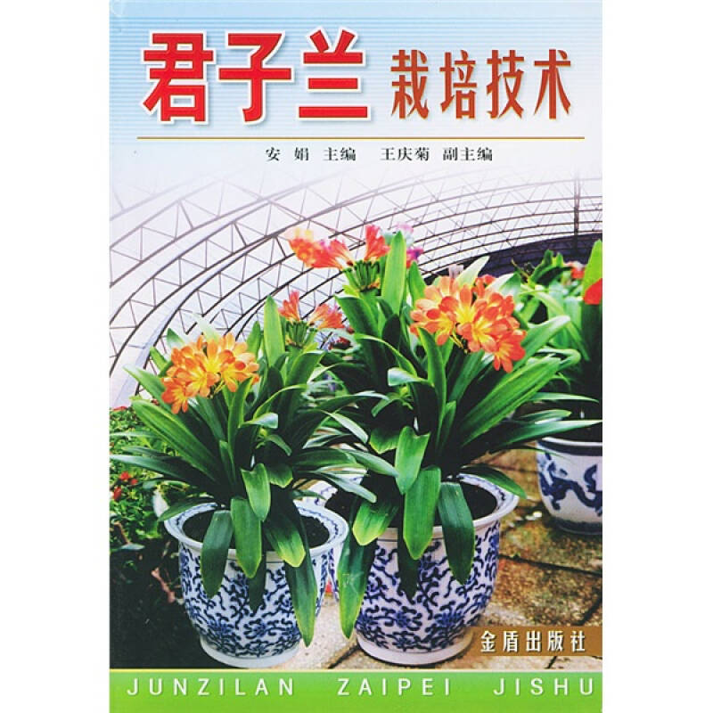 【保正版】君子兰栽培技术安娟著金盾出版社9787508223131
