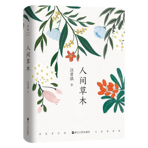 【正版图书】汪曾祺人间草木浮生半日闲人在草木间汪曾祺著文学浙江人民出版社