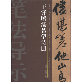 【正版图书】中国历代碑帖技法导学集成笔法导示王铎赠汤若望诗册许晓俊袁卫民中书法协会编大众文艺出版社9787517200093