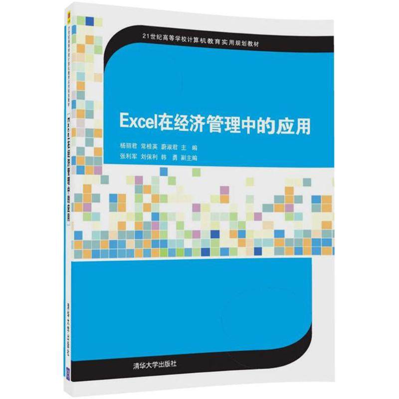 【正版书籍】Excel在经济管理中的应用 杨丽君常桂英蔚淑君著 清华大学出版社