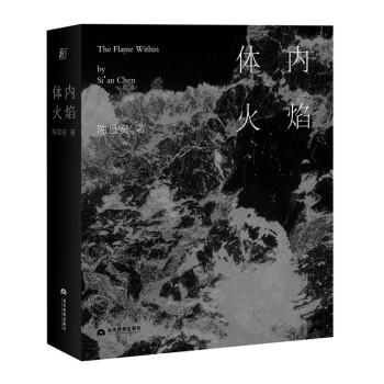 【正版图书】体内火焰陈思安一頁folio出品当代世界出版社9787509016114