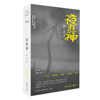 【正版图书】夜游神单读系列孙一圣著上海文艺出版社9787532180356