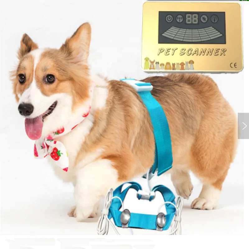 New Version Animals Quantum Resonance Magnetic Analyzer