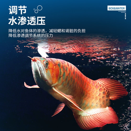 观赏鱼消毒盐龙鱼魟鱼锦鲤用盐水族鱼缸盐专用杀菌盐抗菌净水黄粉