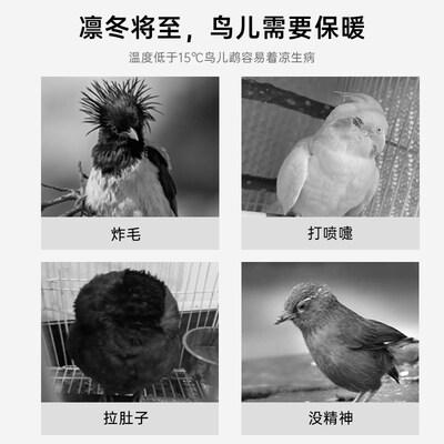 双层尖顶白色广笼布 33-36广式画眉鸟圆笼笼衣防风遮光鸟笼罩布围