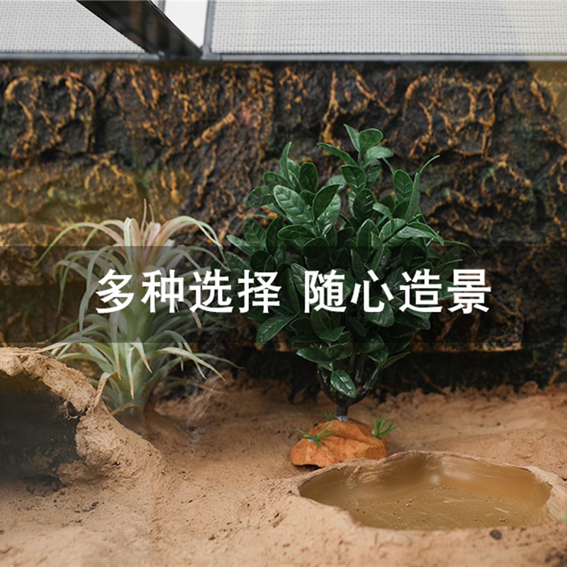 雨林造景爬宠盒饲养箱陆龟箱造景真植物树蛙睫角守宫爬虫绿植