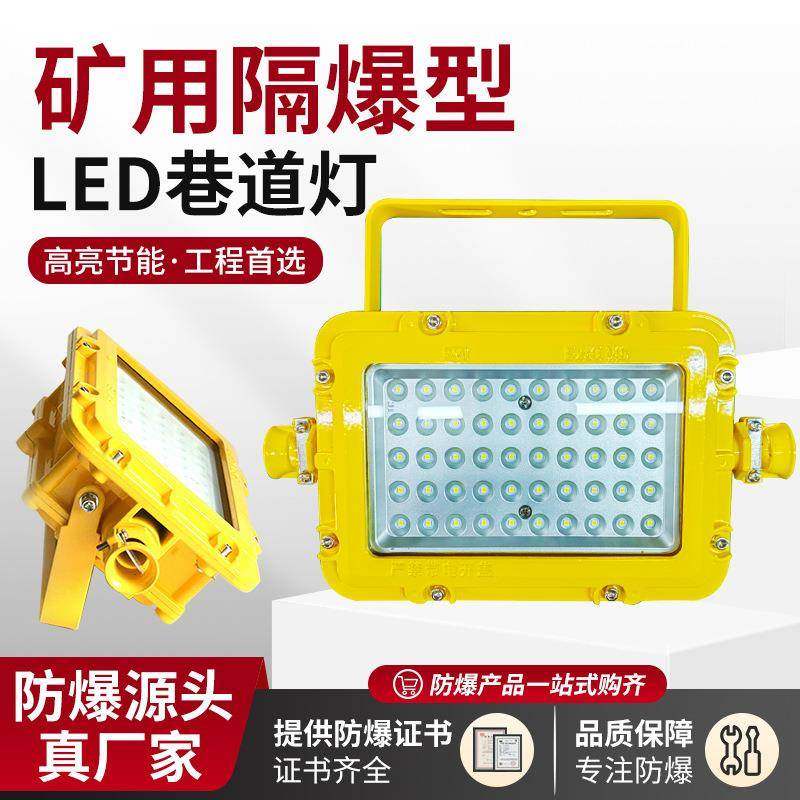 DGS24/127L(A)矿用LED巷道灯36瓦方形款隧道防爆照明灯36V/127V