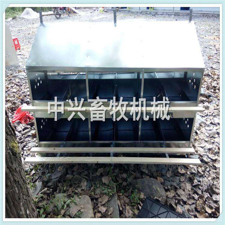 24窝产蛋箱1套12窝产蛋箱1套鸭蛋窝有底50个,畜牧/养殖物资,畜牧/养殖器械,淘宝优惠券,粉丝福利购,淘宝优惠卷