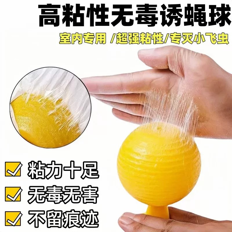 无毒室内果园家用粘虫板