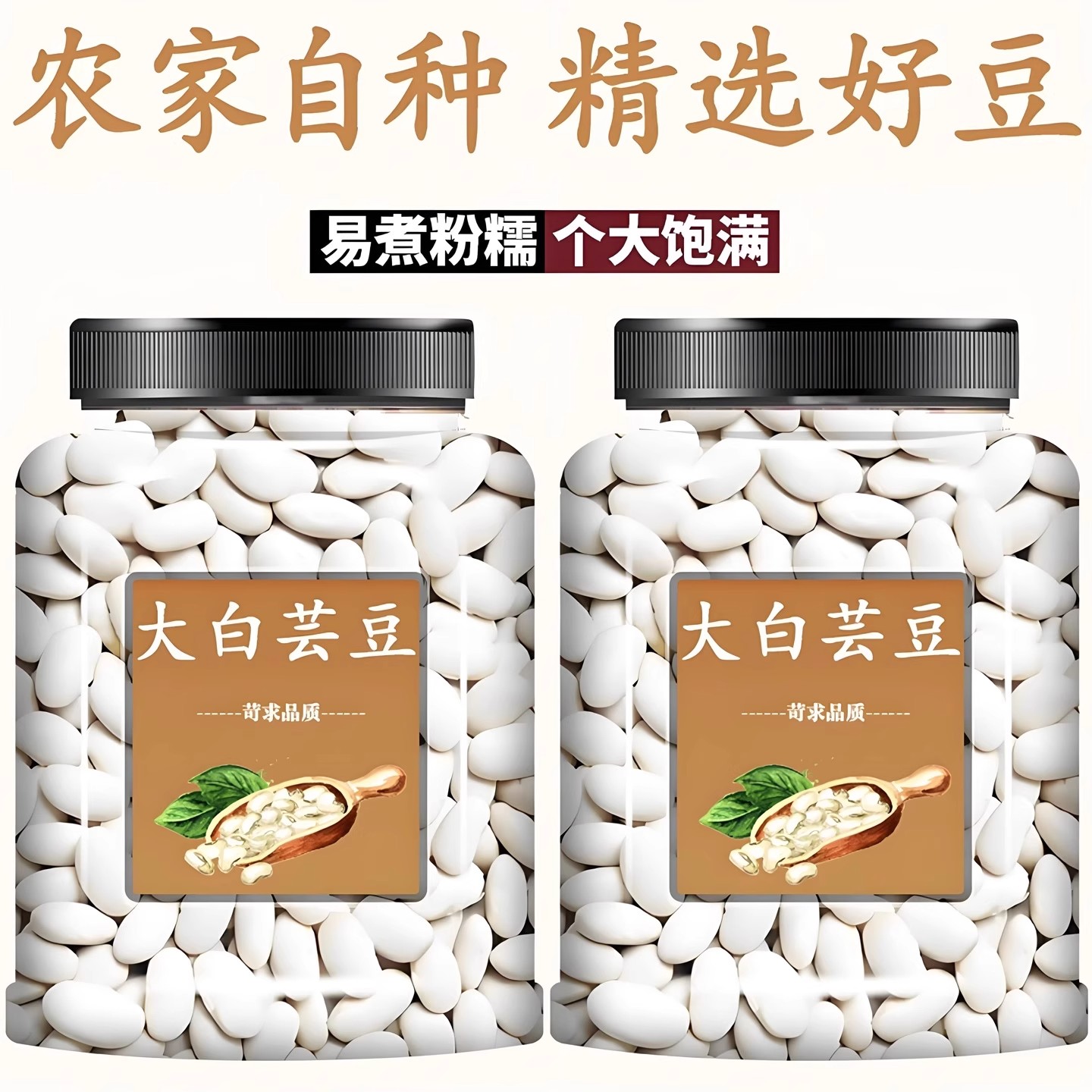 白芸豆云南大粒白云豆