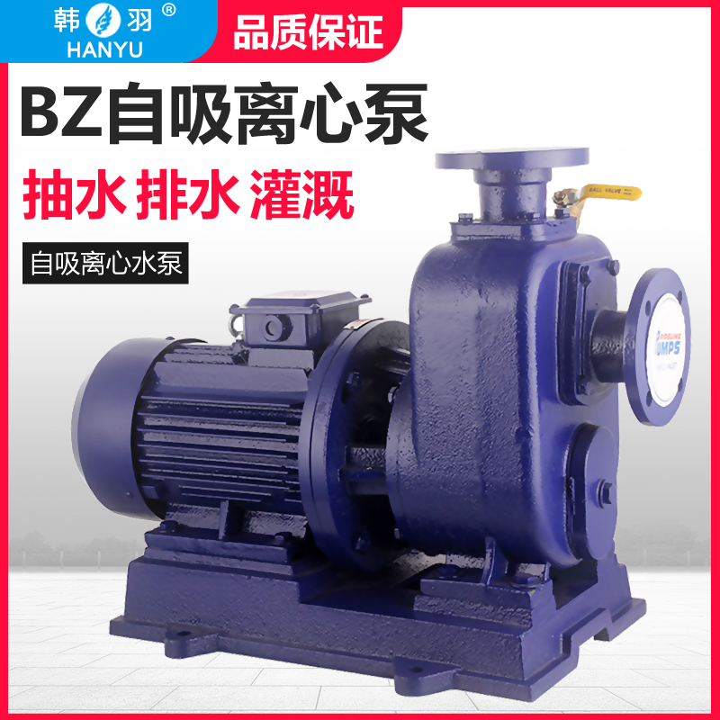 直连式BZ自吸泵卧式离心泵三相农用灌溉清水泵高扬程大流量380V