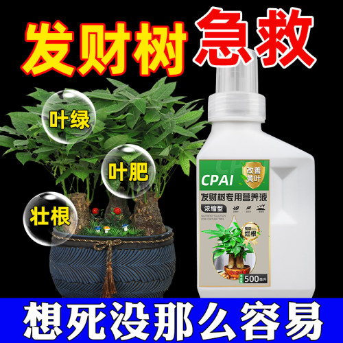 发财树专用浓缩营养液家用绿叶植物盆栽养花防黄叶通用液体有机肥