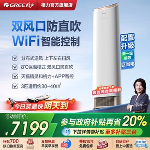 格力官方旗舰店正品 柜机空调新一级能效家用客厅王者京致 3匹立式