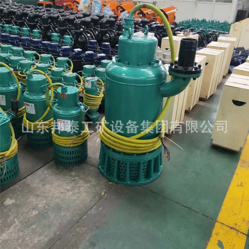 BQS BQW矿用防爆排污泵 隔爆型潜水排沙电泵 660/1140v抽水泥浆泵
