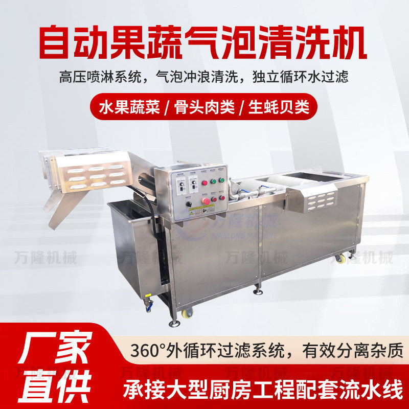 大型果蔬气泡清洗机不锈钢洋芋芋头洗菜机木耳高压喷淋清洗机定制