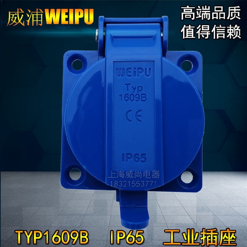 新款威浦weipu多功能防水工业插座新国标5孔TYP1609B 10A  IP65