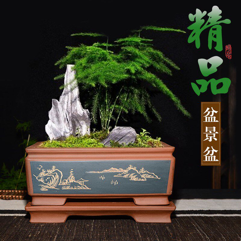 精品促销紫砂长方形花盆树桩盆景盆绿植室内客厅阳台景观大号盆栽