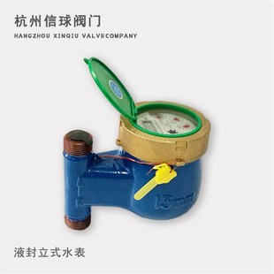 25E 六分 F家用干水表四 湿式 宁波总厂牌丝口立式 液封LXSL