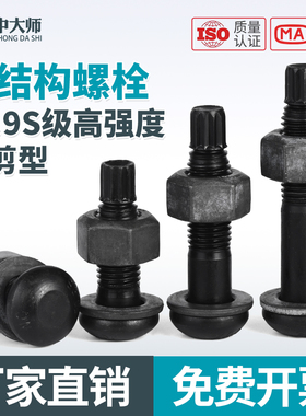 10.9S级钢结构扭剪型螺栓高强度GB3632圆头螺丝M16M20M22M24M27