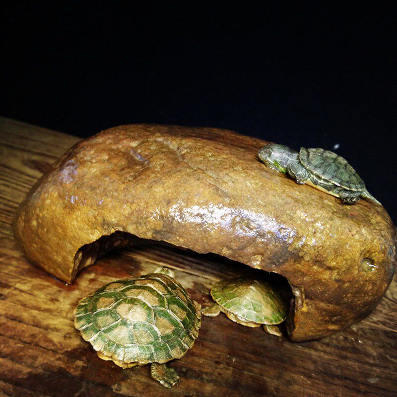 原生态爬宠洞穴 天然石头乌龟晒台躲避穴 爬虫冬眠饲养箱造景龟屋,童鞋/婴儿鞋/亲子鞋,量脚器,淘宝优惠券,粉丝福利购,淘宝优惠卷