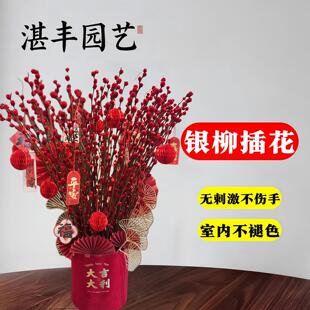 银柳真花鲜枝客厅摆件干花红色年宵花卉水培植物室内干枝红柳鲜花
