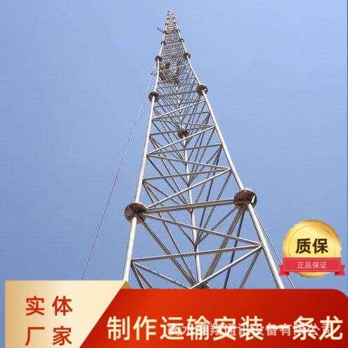 避雷针避雷塔不锈钢圆钢避雷塔独立支架避雷塔户外铁塔加工