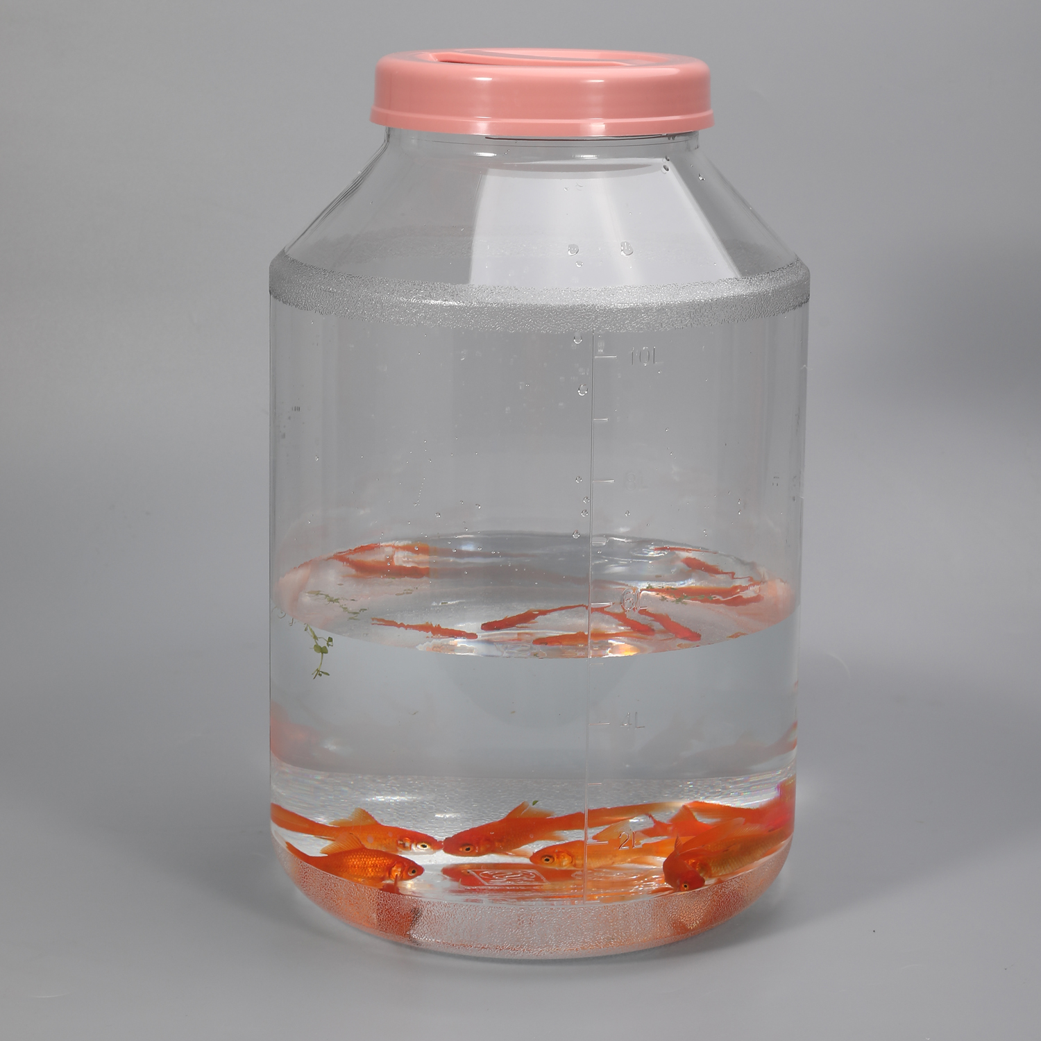 加厚户外手提儿童捞鱼虾桶家用养鱼乌龟观赏桶食品级透明塑料鱼缸