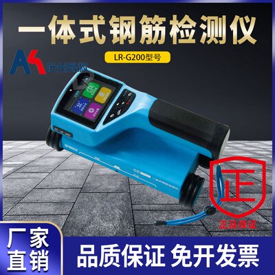 济南朗睿LR-G200一体式钢筋扫描仪检测仪 混凝土钢筋检位置测定仪