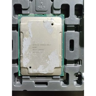 Intel/英特尔 INTEL Xeon Gold 613I