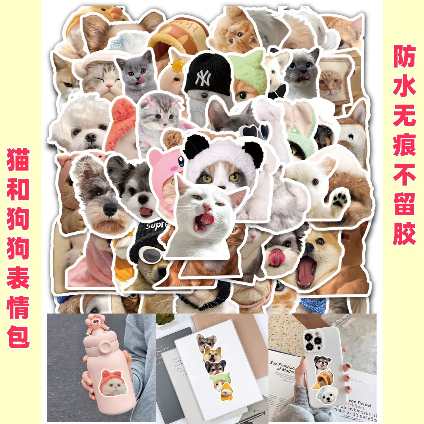 60张宠物猫咪狗狗表情包贴纸