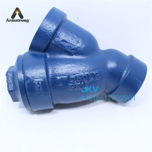 Armstrong阿姆斯壮蒸汽Y型过滤器 CA41SC 丝扣铸铁现货DN25 DN20