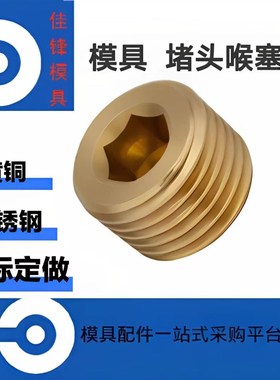DME不锈钢模具堵头黄铜堵头PT BP BSP喉塞 MSWT/MSWTS现货当天发