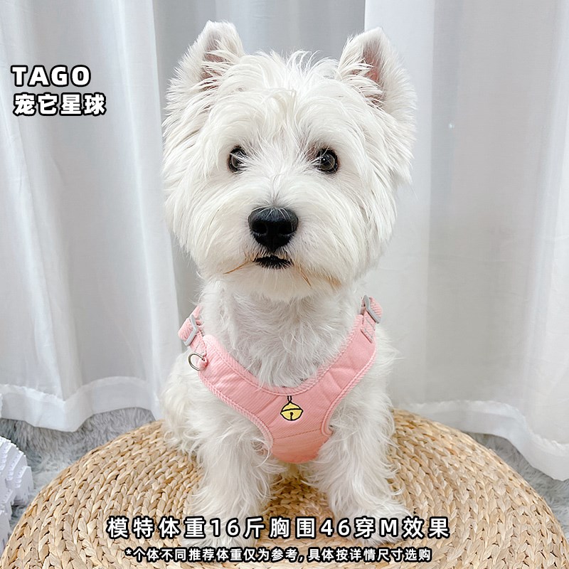 狗狗牵引绳猫咪胸背带狗绳遛狗猫绳小型犬胸背防挣脱外出神器遛猫