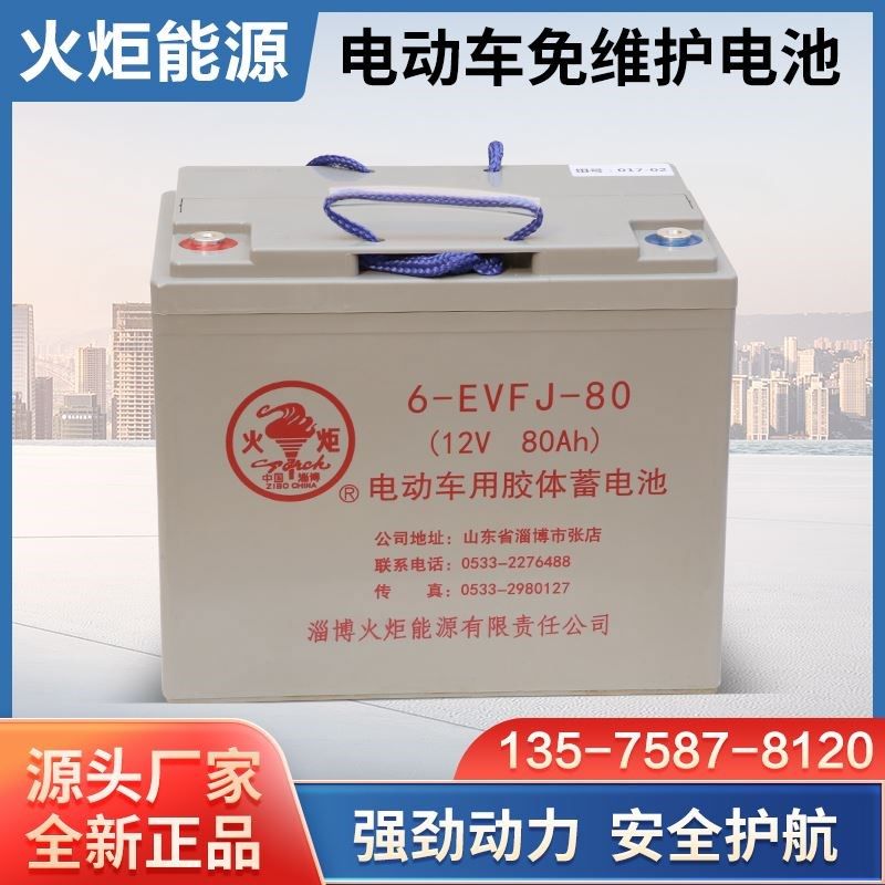电动车电瓶胶体蓄电池火炬汽车电动200/150ah6/12V免维护铅酸电池