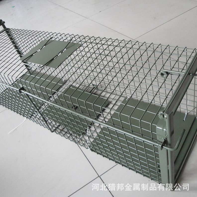 直销外贸跨境喷塑绿色捕捉笼双开门人性诱捕笼 生产厂家