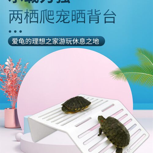 爬虫乌龟下沉式性龟缸浮岛晒台乌龟爬坡浮台亚克力龟台塑料晒背台
