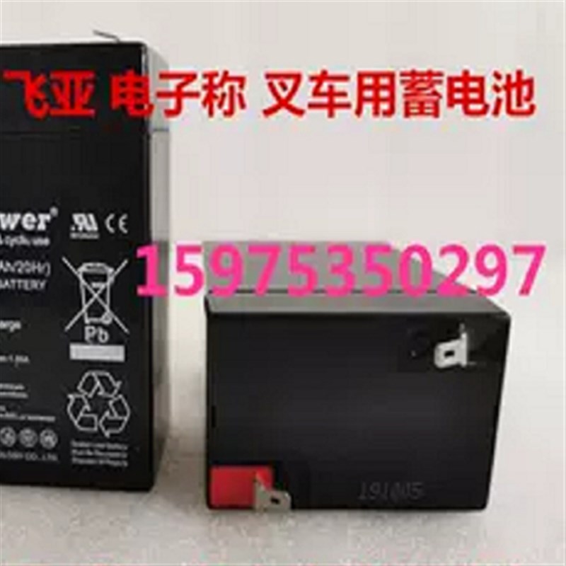 FirstPower蓄电池 FP640 6V4.0Ah/20Hr玩具车童车电子称台秤电池