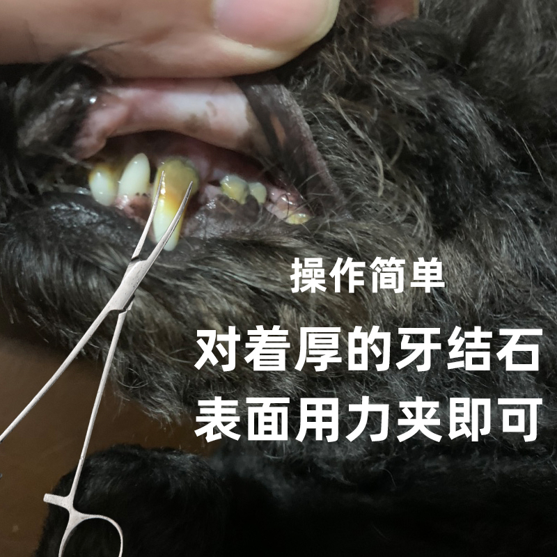 狗狗去牙结石工具除牙齿牙垢清洁钳子止血钳搭配宠物超音波洗牙器