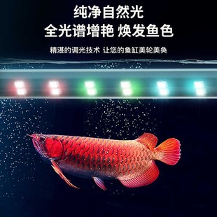 NO1鱼缸灯发色增艳潜水灯高亮LED观赏灯防水龙鱼锦鲤通用节能变色