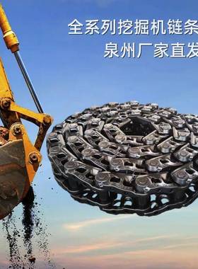 日立 ZX200 挖掘机链条 CTHE15690846 耐磨型 泉州东桥科技公司