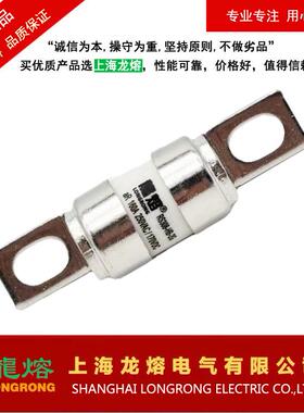 RS308-HB-2G250VAC160A，熔断器，