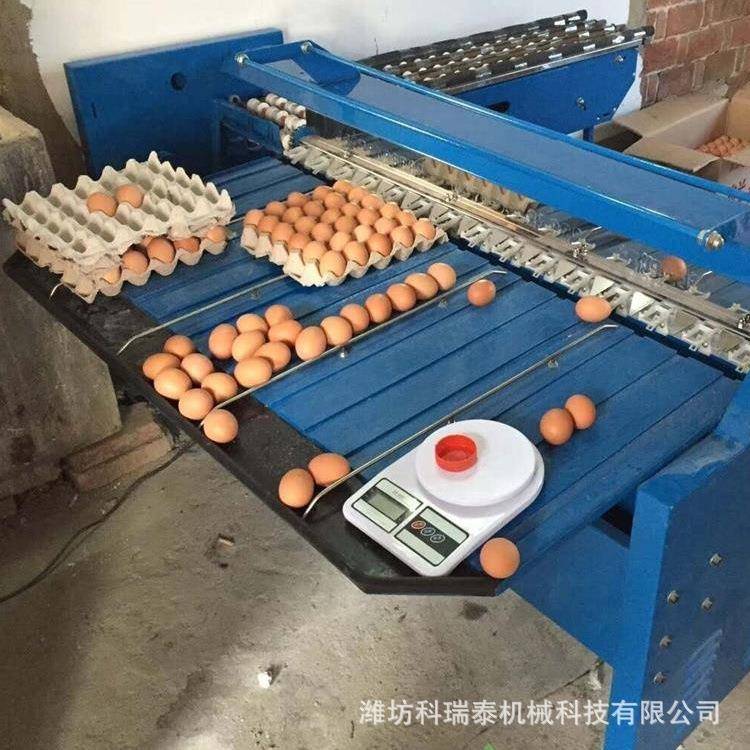 皮蛋分选机鸡蛋鸭蛋重量分级机小型种蛋分选机机械分级精准度高