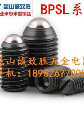 球头柱塞 替代米型 BPSL3/4/5/6/8/10/12/16