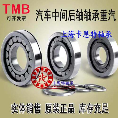 天马TMB圆柱满滚子轴承 NUP2207XV/C9YB2 尺寸：35*90*23 NUP308X