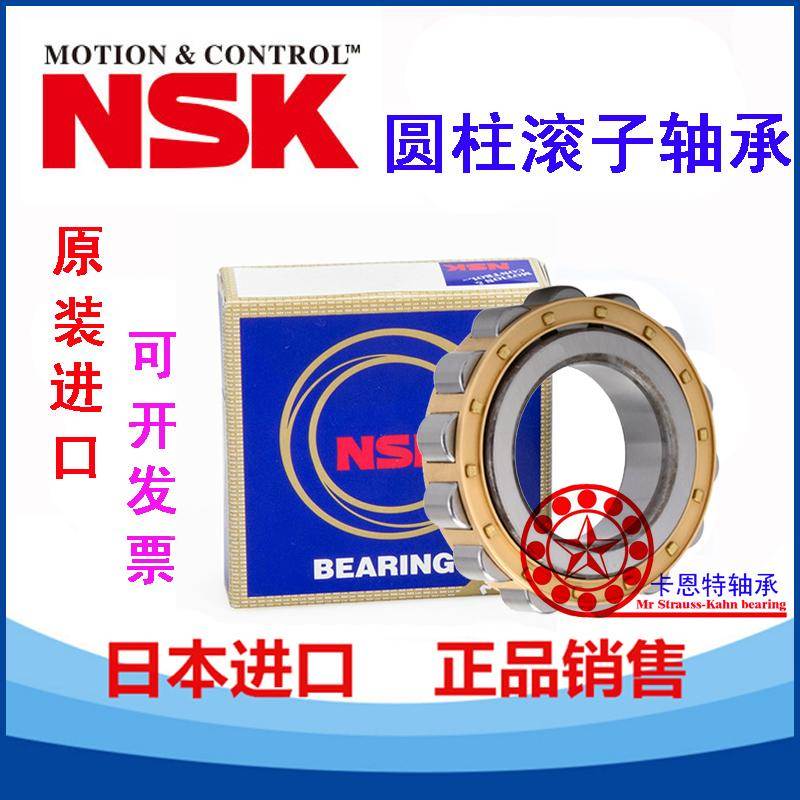 进口NSK减速机圆柱轴承RN202 203 204 205 206 207 208 209 E M