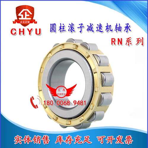 减速机偏心轴承RN204 205 206 307 309 312 219 222RN313 NU2220