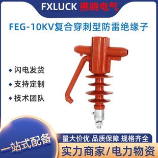 绝缘子压支柱FXG FEG 防雷针式 10KV硅橡胶线路型 5复合穿刺式
