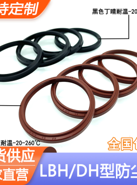 氟胶/丁晴LBH防尘圈48/50/53/55/56/58*56/58/61/63/64/66*5/6.5