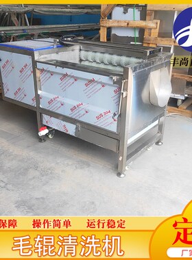 丰尚胡萝卜毛辊去皮机 鱼去鱼鳞清洗机设备自动化毛辊清洗机设备
