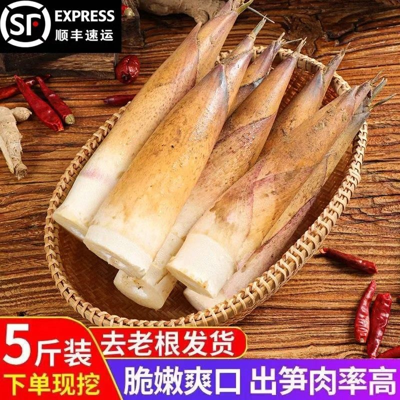 【顺丰包邮】新鲜现挖雷竹笋小竹笋自然野生带壳竹笋小雷笋春笋